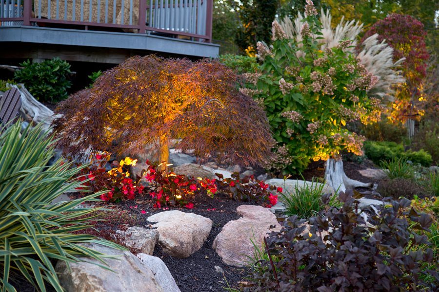 plantings and gardens photo gallery - lakeland landscaping