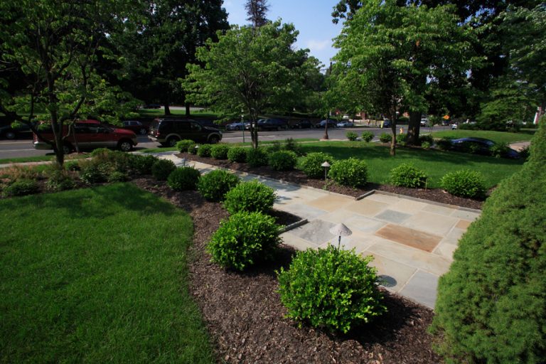 Boxwoods Line Driveway - Lakeland Landscaping