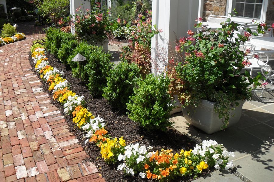 Pansies and Boxwood at Mansion in May
