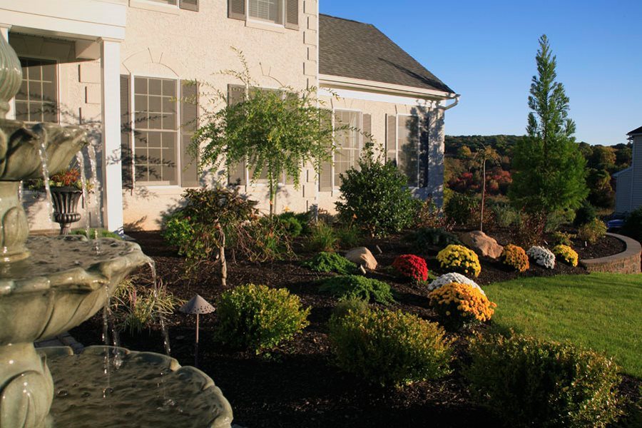 Mums and Plantings at a Home in Long Valley NJ