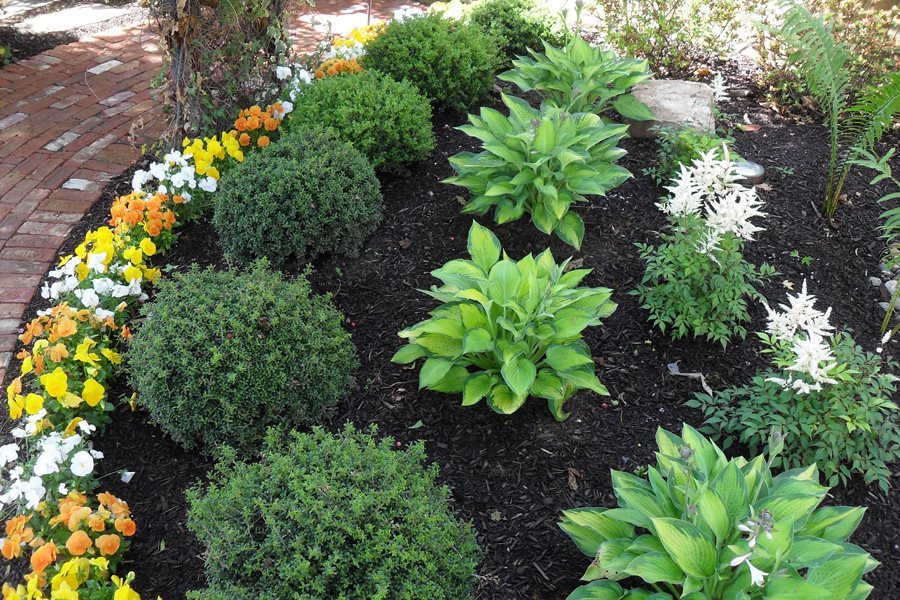 Garden with Shade Plantings in Harding NJ