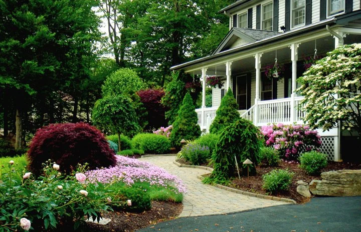 Carefully Chosen Plants, Trees, and Shrubs