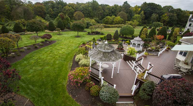 A sprawling backyard with neatly pruned shrubs, shaped trees, and a well-maintained lawn.