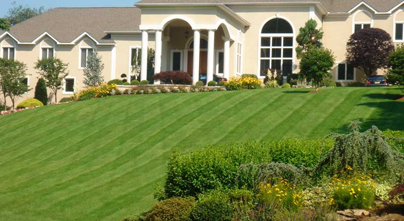 Large front yard with perfectly striped lawn and vibrant fall plantings in New Jersey.