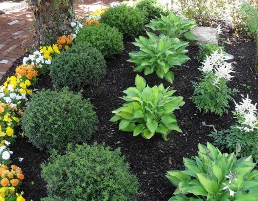 Structured Planting Design