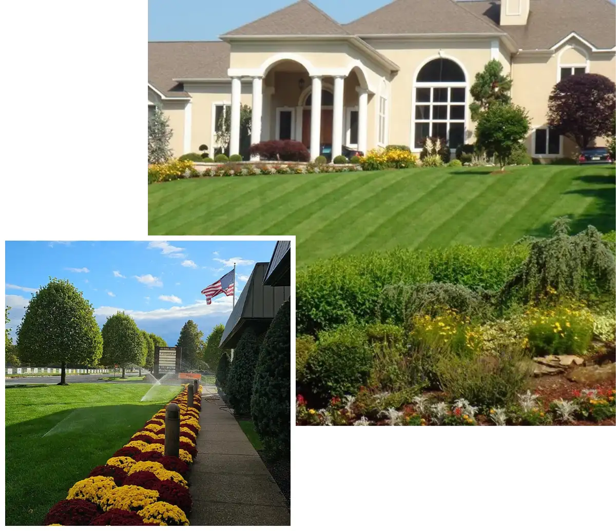 Why Choose Lakeland Landscaping