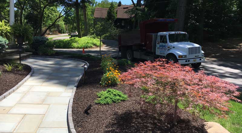 Curved bluestone walkway with fresh mulch beds and ornamental trees in a Morris County NJ spring landscape.