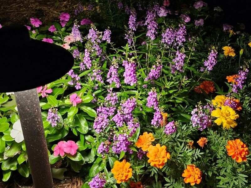 landscape lighting design