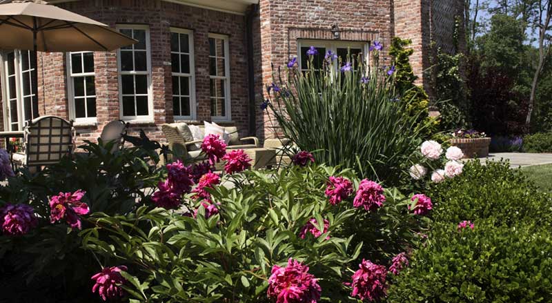 Outdoor patio surrounded by blooming perennials and lush garden beds in a Morris County NJ backyard.