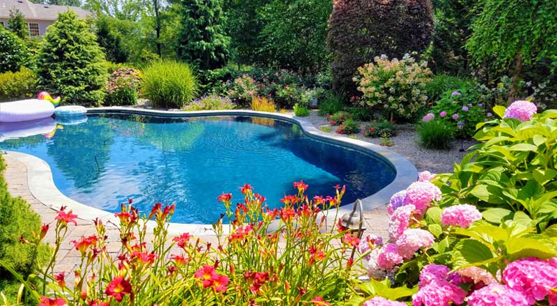Curved backyard pool surrounded by vibrant spring flowers and lush landscaping in a Morris County NJ garden.