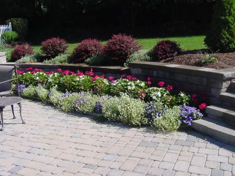 Colorful flower bed along stone retaining wall on paved patio