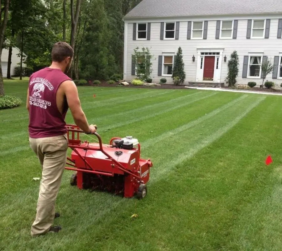 Landscape Maintenance