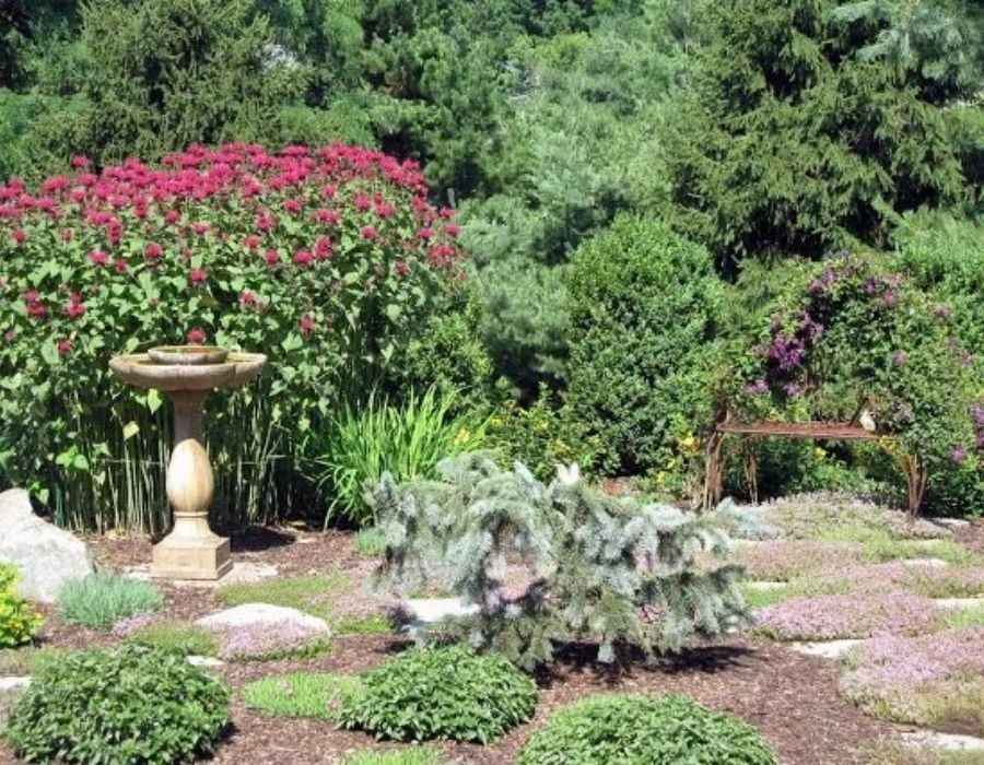 Landscaped garden with pink flowers, shrubs, birdbath, and bench