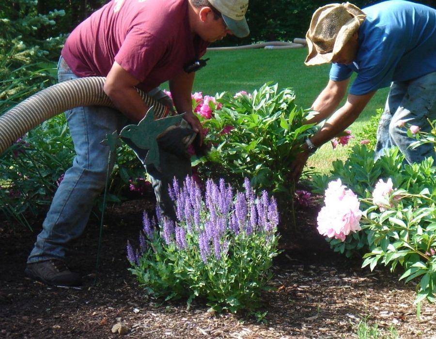 Two men planting flowers in a garden bed outdoors