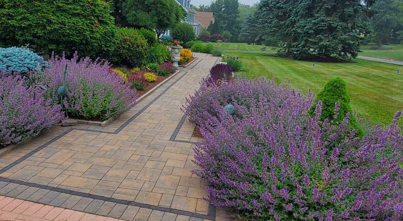 Paver walkway lined with vibrant, well-maintained perennial gardens demonstrating expert planting bed care and pruning.