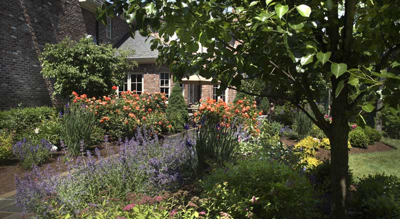 Lush residential garden with layered plantings, seasonal color, and healthy shrubs maintained through ongoing plant care programs.