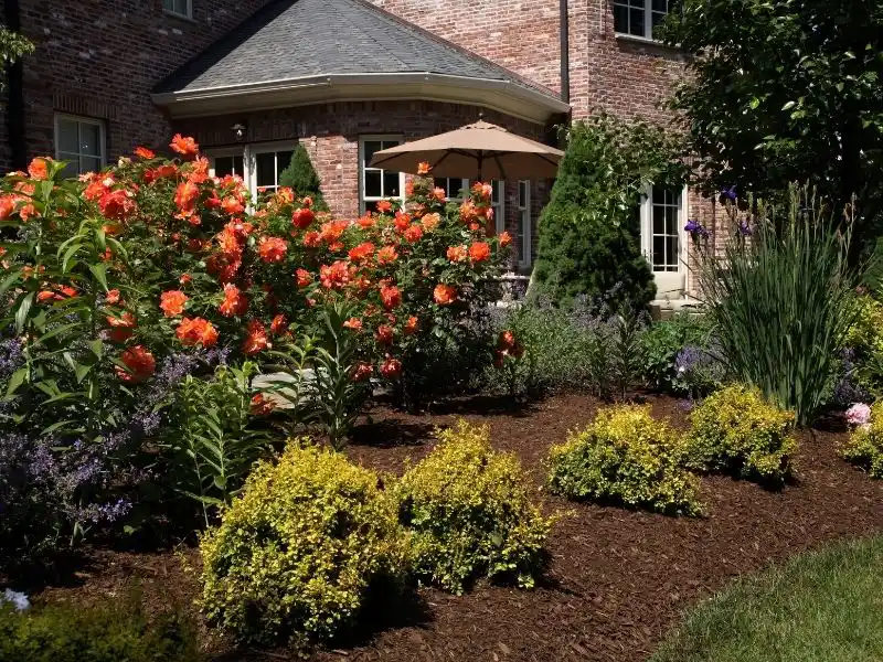 Colorful landscaped garden with orange blooms by a brick home