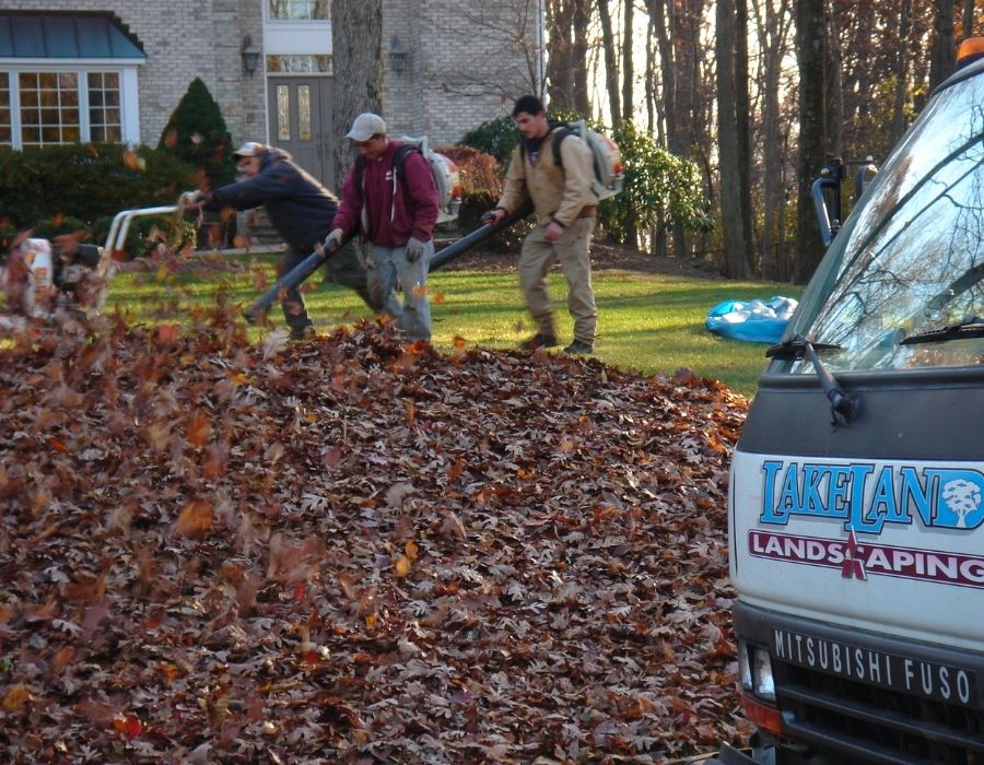 Landscape maintenance crew using leaf blowers to gather fallen leaves into a large pile on a residential property