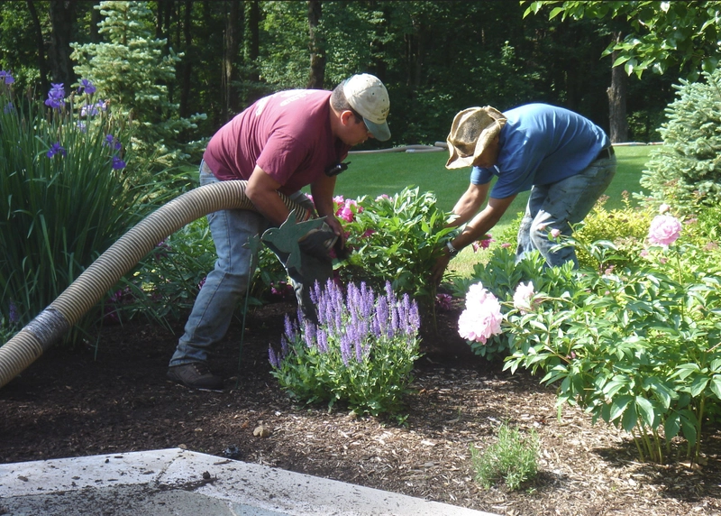 Professional landscape maintenance crew maintaining garden beds and lawn edging