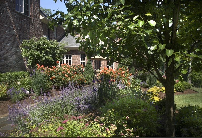 Layered landscape design with shrubs trees and flowering plants creating visual depth