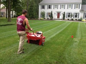 Professional lawn care and landscape maintenance at a Morris County, NJ home